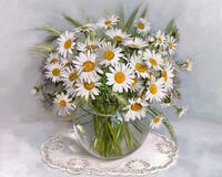 Без бренда «2KMA-0021» в Севастополе