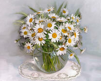 Без бренда «2KMA-0021» в Севастополе