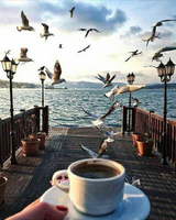 Без бренда «2KMB-1952» в Севастополе