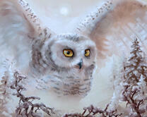 Без бренда «2KMB-3848» в Севастополе