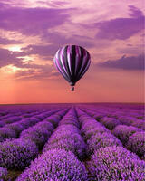 Без бренда «Фиолетовый воздушный шар над фиолетовым лавандовым полем» в Севастополе