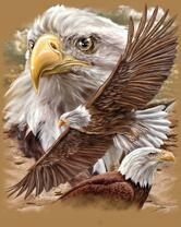 Без бренда «2KMB-4315» в Севастополе