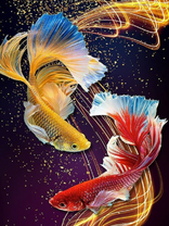 Без бренда «Желтая и красная рыбки» в Севастополе