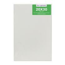 Без бренда «Коробка 80 шт.: Холст Две картинки на подрамнике 20X30» в Севастополе