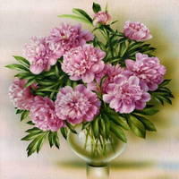 Без бренда «Пионы в круглой прозрачной вазе (20шт)» в Севастополе