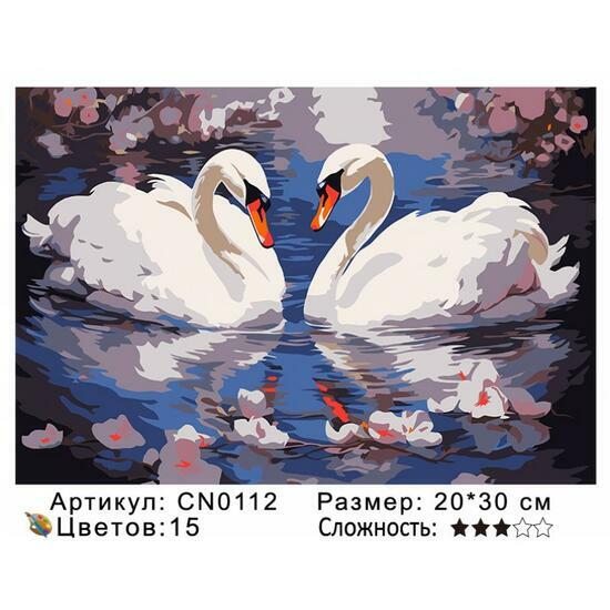 Картина по номерам 20x30 CN0112