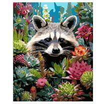 Енот и яркие суккуленты