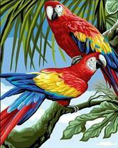 Красочные попугаи на ветке