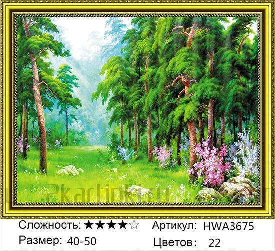 Алмазная мозаика 40x50 Свежая поляна в сосновом лесу