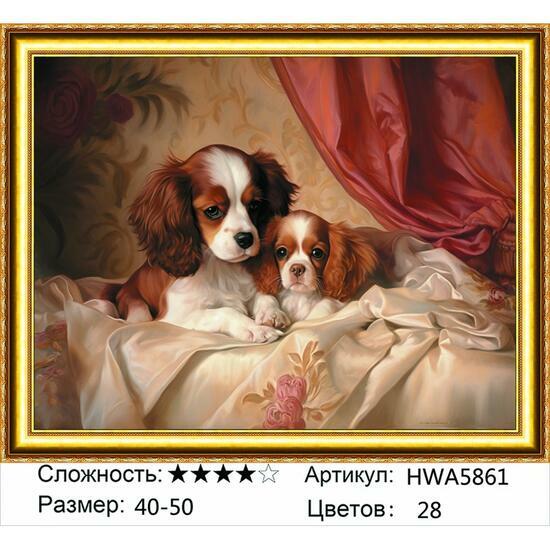 Алмазная мозаика 40x50 HWA5861