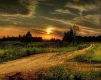 Без бренда «Проселочная дорога на закате» в Севастополе