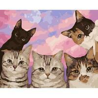 Без бренда «Такие разные котики» в Севастополе