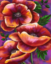 Сочные красивые маки