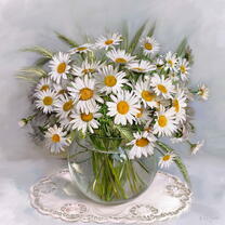 Без бренда «Букет свежих ромашек» в Севастополе