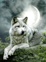 Без бренда «Коробка 25 шт. картин по номерам BOX25-GX21058» в Севастополе