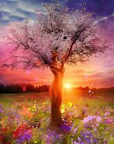 Коробка 25 шт. картин по номерам BOX25-GX4566