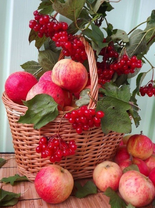 Без бренда «Коробка 25 шт. картин по номерам BOX25-GX5174» в Севастополе