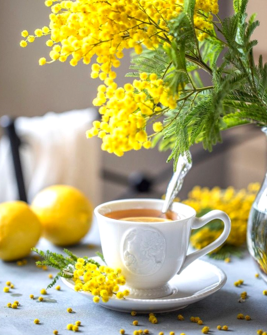 Картина по номерам 40x50 Чай с лимоном и яркая веточка мимозы