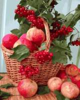 Без бренда «Плетёная корзина с калиной и яблоками» в Севастополе