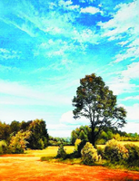 Без бренда «Осенний пейзаж с голубым небом» в Севастополе