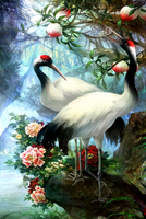 Без бренда «Коробка 25 шт. картин по номерам BOX25-GX29399» в Севастополе в интернет-магазине  Без бренда «Коробка 25 шт. картин по номерам BOX25-GX29399» в Севастополе