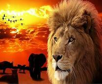 Лев и африканские животные на фоне заката